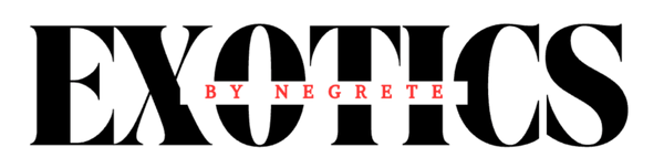 Gabriel Negrete Jr